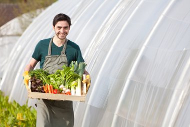 Genç mutlu çiftçi sebze ile dolu bir sandık ile