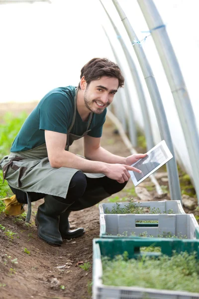 Jeune exploitant agricole travaillant sur sa tablette — Photo