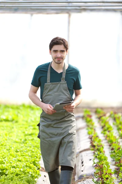 Onun tablet üzerinde çalışan genç iş çiftçi — Stok fotoğraf