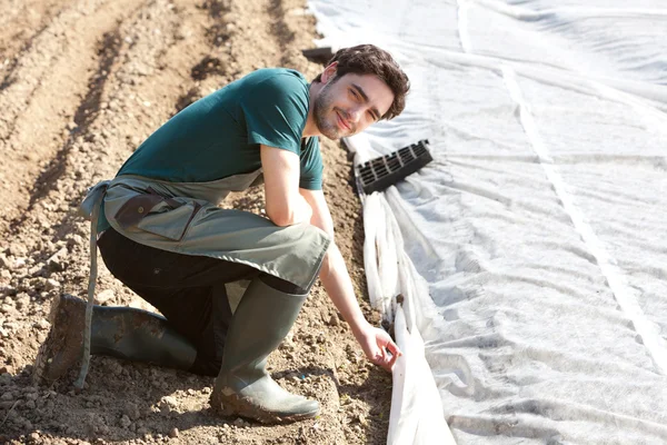 Un jeune agriculteur attrayant vérifie les progrès de la culture — Photo