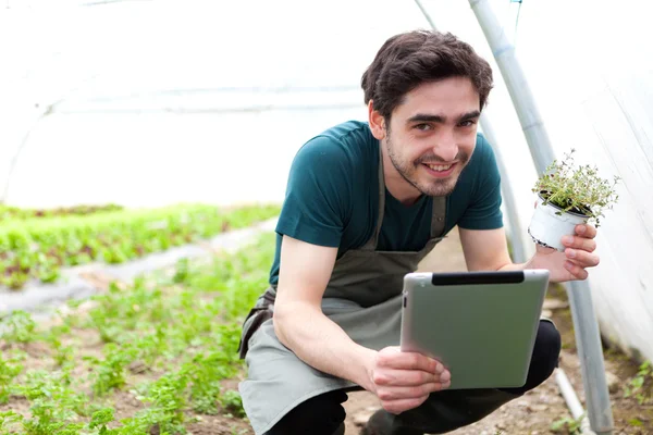 Agricultor de negócios jovens trabalhando em seu tablet — Stockfoto