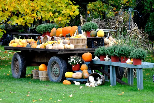 Harvest Wagon — Stock Photo, Image