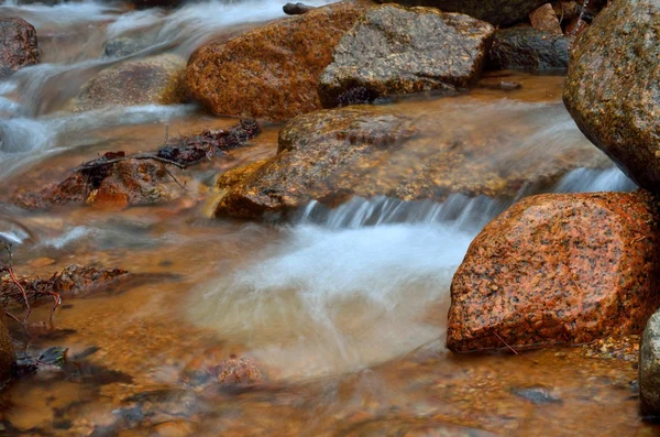 Rocky Mountains Stream — Stok fotoğraf