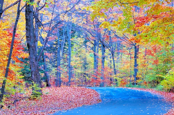 Autumn Road — Stock Photo, Image