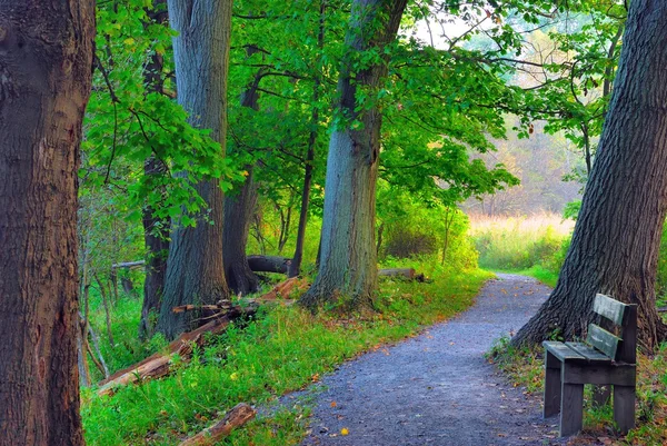 Nature Trail — Stock Photo, Image