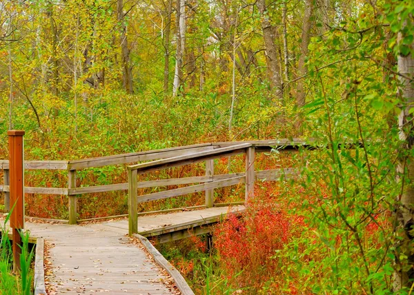 Trilha da natureza Crossroad — Fotografia de Stock