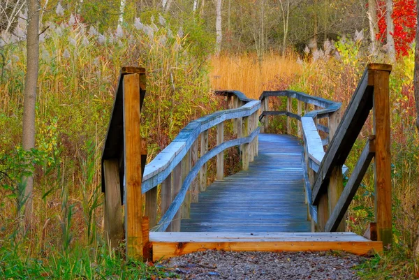 Ruta de la Naturaleza — Foto de Stock