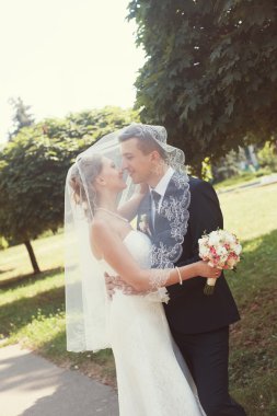 Gelin ve damat parkta öpüşme
