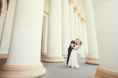 Gelin ve damat beyaz sütun poz