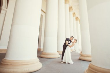Gelin ve damat beyaz sütun poz