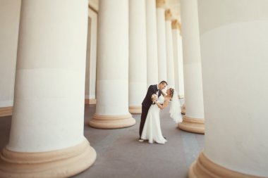 Gelin ve damat beyaz sütun poz