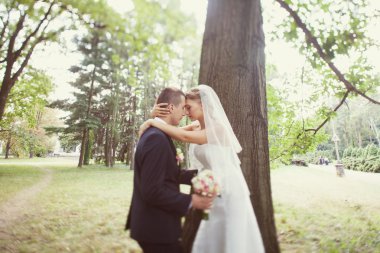 Gelin ve damat yakınındaki parka ağaç