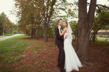 Gelin ve damat doğada