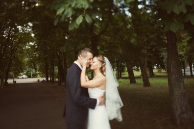 Gelin ve damat parkta öpüşme