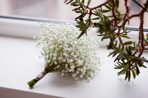 Branco di Gypsophila — Foto Stock