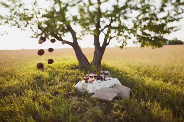 Wedding table in the park — Stock Photo, Image