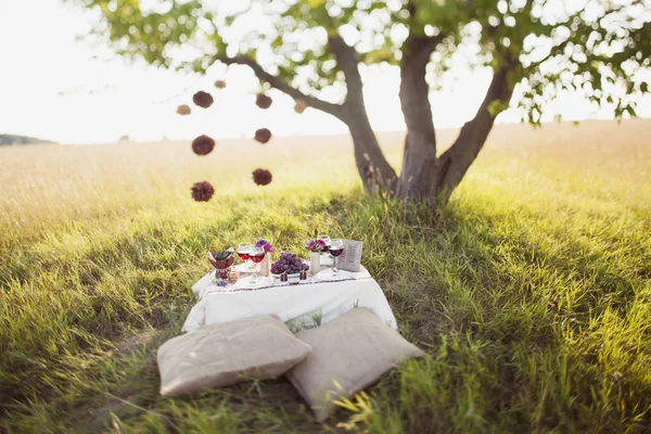 Bröllopsbord i parken — Stockfoto