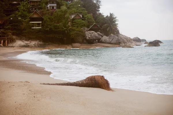 Strand i Thailand - Stock-foto