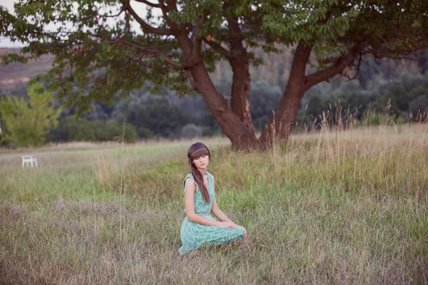 Brunette woman in a field — Stock Photo, Image