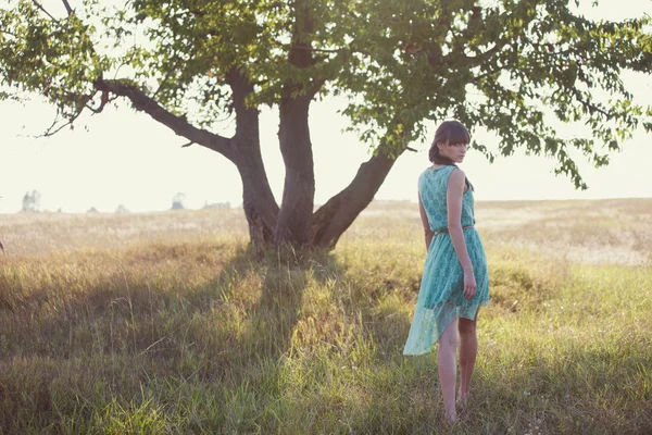 Brunette vrouw in een veld — Stockfoto