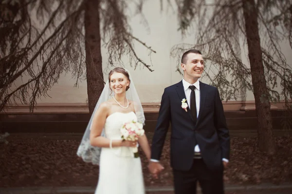 Bride and groom on the nature — Stock Photo, Image