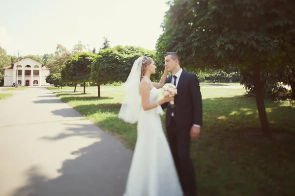 Bride and groom hugging in the park — Stock Photo, Image