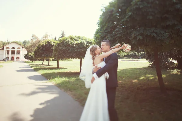 Bride and groom hugging in the park — Stock Photo, Image