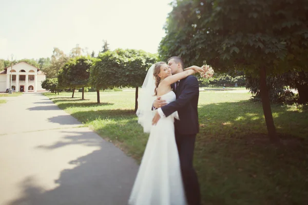 Bride and groom kissing in the park — Stock Photo, Image