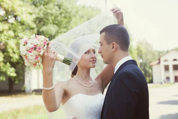 Bride covering veil her  covering veil — Stock Photo, Image