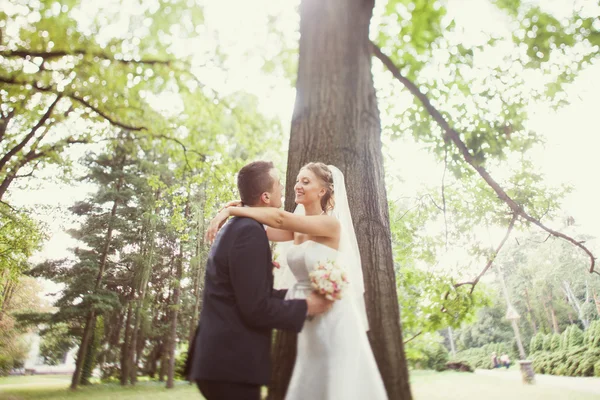 Novia y novio cerca del árbol en el parque — Foto de Stock