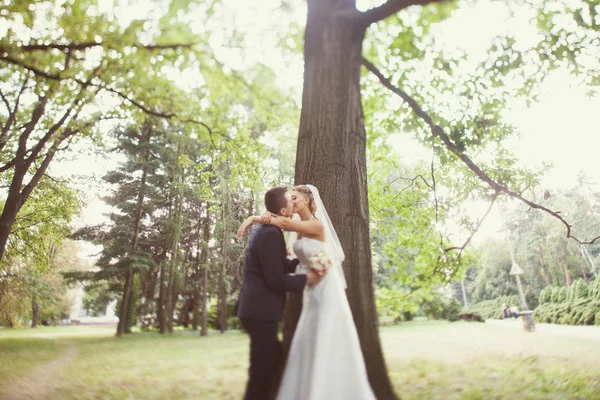 Nevěsta a ženich poblíž stromu v parku — Stock fotografie