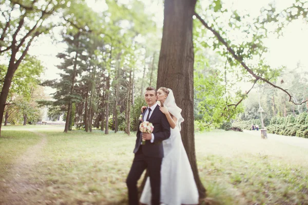 Noiva e noivo perto da árvore no parque — Fotografia de Stock