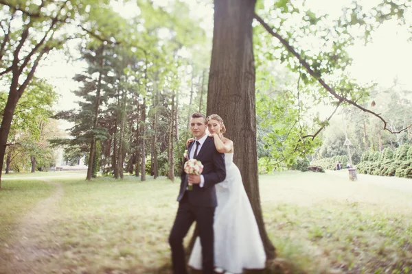 Bride and groom  near the tree in the park — Stock Photo, Image