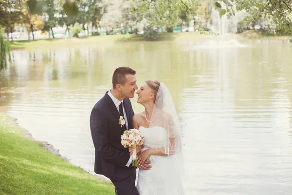 Sposo e sposo in parco vicino al lago — Foto Stock