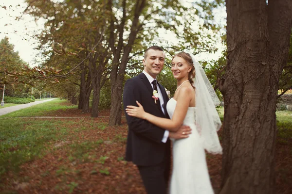 Novia y novio cerca del árbol en el parque — Foto de Stock