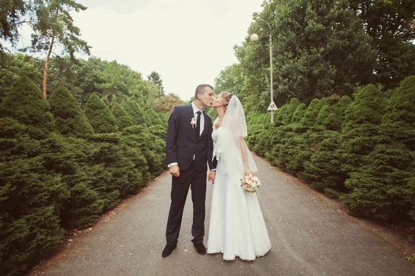 Bride and groom kissing in the park — Stock Photo, Image