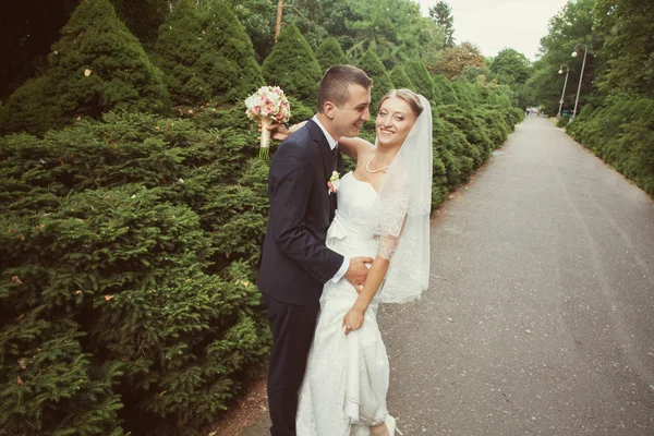 Bride and groom on the alley in the park — Stock Photo, Image