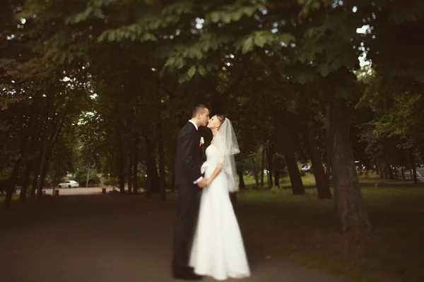 Nevěsta a ženich líbání v parku — Stock fotografie