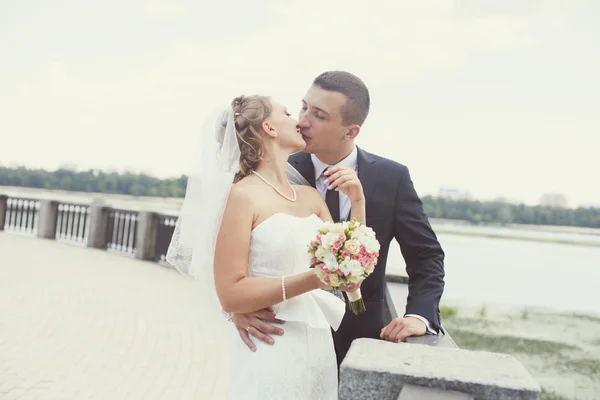 Поцелуй невесты и грума — стоковое фото
