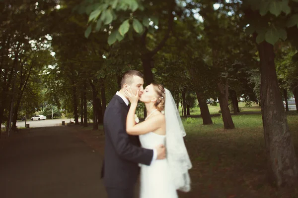 Brudparet kysser i parken — Stockfoto