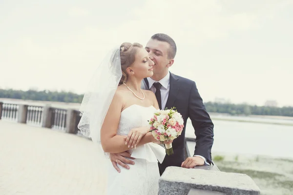 Цілує наречену і наречену — стокове фото