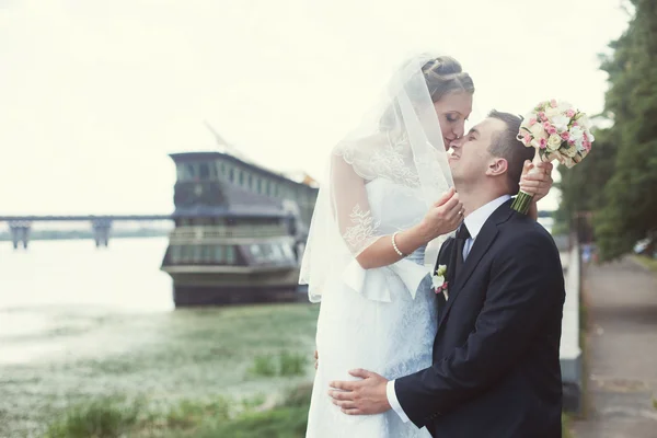 Поцелуй невесты и грума — стоковое фото