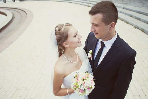 Portrait of the bride and groom — Stock Photo, Image