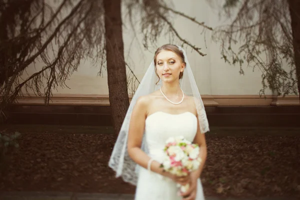 Bride walking in the park — Stock Photo, Image