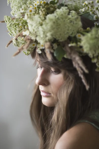 Beautiful brunette girl with a wreath in her hair Stock Picture