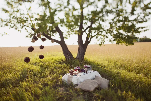 Decorated wedding table in the park — Stock Photo, Image