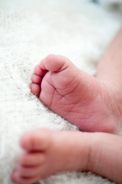 Hayatının ilk haftasında doğan bir bebek.