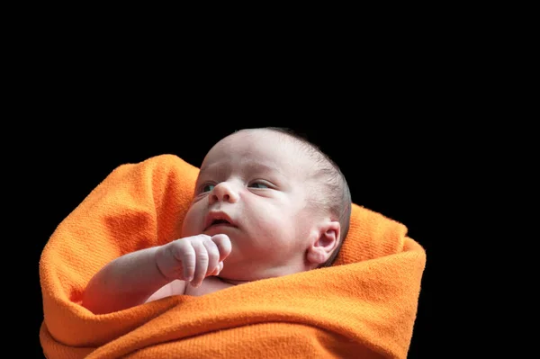 Adorable beautiful newborn baby — Stock Photo, Image