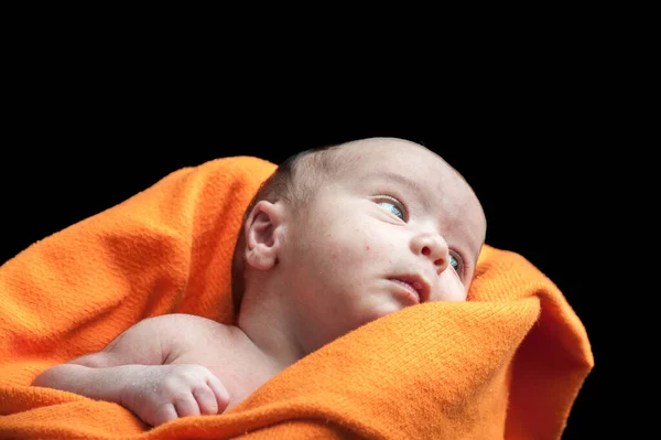 Adorável lindo bebê recém-nascido — Fotografia de Stock