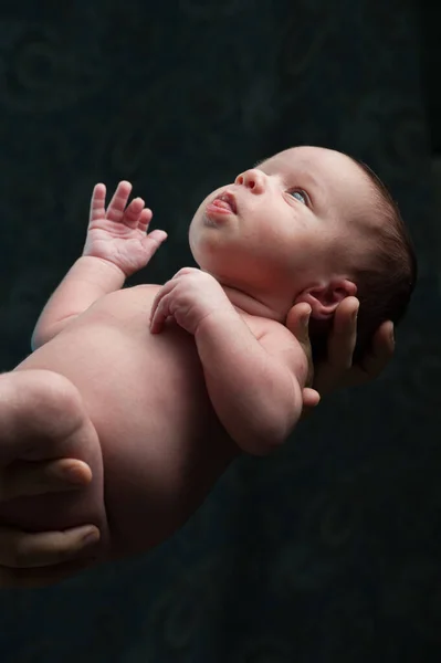 Bebê recém-nascido nos braços — Fotografia de Stock